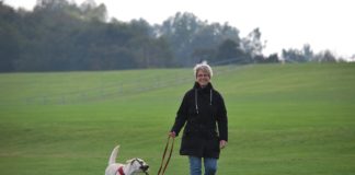 Check out these 5 important things to consider before you create your dog care business contract