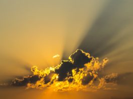 Should Your Startup Use Cloud Solutions?