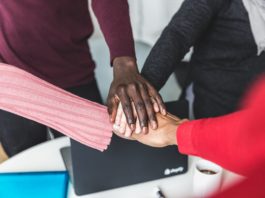 Important Aspects of Team Building Every Business Owner Must Know