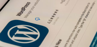 WHAT ARE THE REASONS OF HIRING A WORDPRESS DEVELOPER?