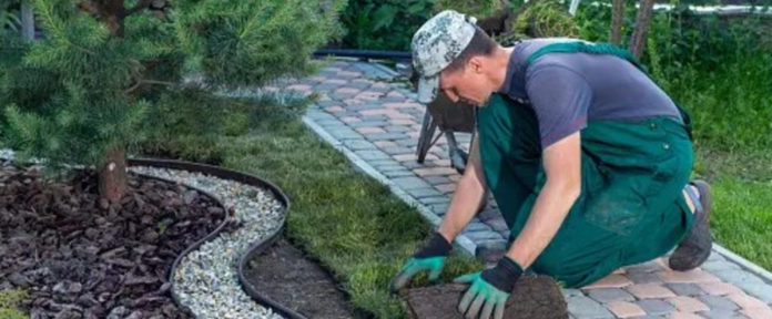 How to Grow a Landscaping Business