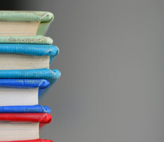 Alicia Estey’s Efforts in Developing Education Programs in Mozambique