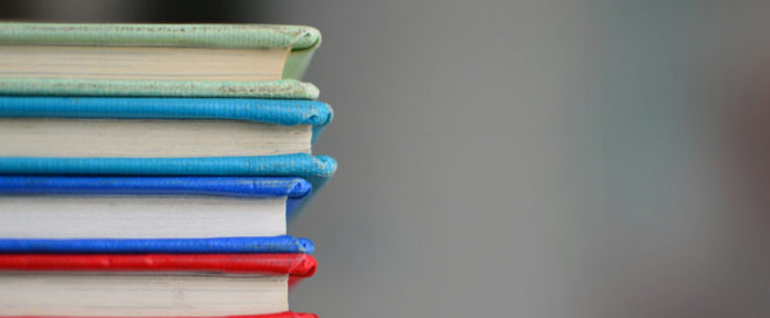 Alicia Estey’s Efforts in Developing Education Programs in Mozambique